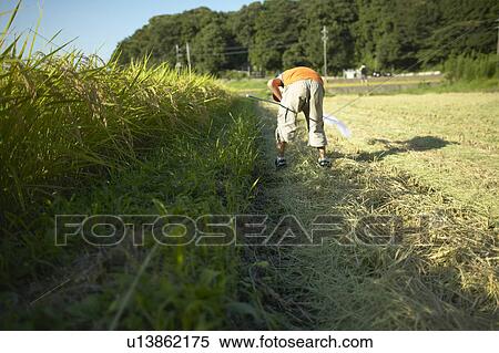 Boy holding butterfly net in field, bending over View Large Photo Image Stock Photography - Boy holding butterfly net in field, bending over. Fotosearch