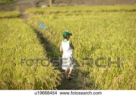 Boy holding butterfly net walking in field View Large Photo Image Picture - Boy holding butterfly net walking in field. Fotosearch