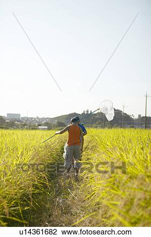 Stock Image - Boy holding butterfly net walking in field, copy space. Fotosearch