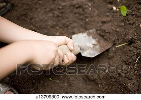 Boy with a shovel digging dirt, Kanagawa Prefecture, Honshu, Japan View Large Photo Image Stock Image - Boy with a shovel digging dirt, Kanagawa Prefecture, Honshu, Japan. Fotosearch