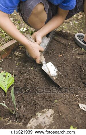 Boy with a shovel digging dirt, Kanagawa Prefecture, Honshu, Japan View Large Photo Image Stock Photo - Boy with a shovel digging dirt, Kanagawa Prefecture, Honshu, Japan. Fotosearch