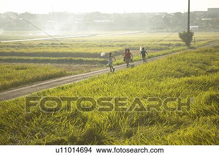 Picture - Boys holding butterfly nets running in field. Fotosearch