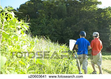 Stock Image - Boys holding butterfly nets walking in field. Fotosearch