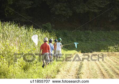 Boys holding butterfly nets walking in field View Large Photo Image Stock Photo - Boys holding butterfly nets walking in field. Fotosearch