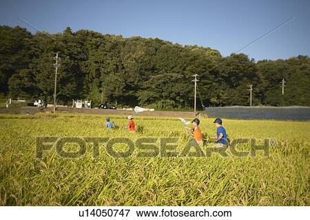 Boys holding butterfly nets walking in field View Large Photo Image Stock Photo - Boys holding butterfly nets walking in field. Fotosearch