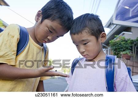 Stock Image - Boys staring at a snail, Tokyo Prefecture, Honshu, Japan. Fotosearch