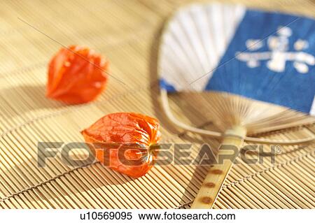 Chinese Lantern Lilies and fan View Large Photo Image Stock Photography - Chinese Lantern Lilies and fan. Fotosearch
