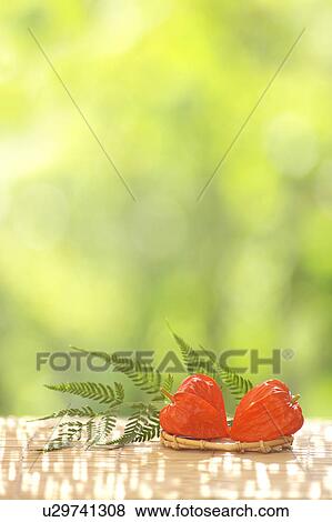 Stock Photo - Chinese Lantern Lilies. Fotosearch
