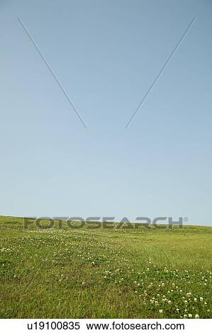 Clear Sky Over Field View Large Photo Image Stock Photography - Clear Sky Over Field. Fotosearch