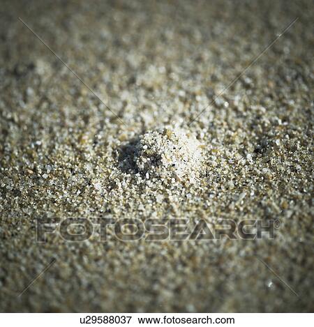 Stock Photo - Close up of Sand. Fotosearch