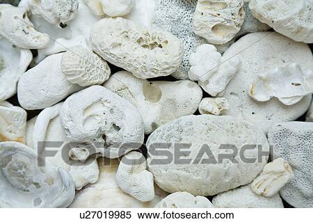 Close up of White Stones View Large Photo Image Stock Photography - Close up of White Stones. Fotosearch