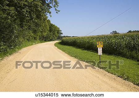 Stock Photography - Corn field and dirt road, Iowa, USA. Fotosearch