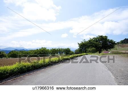 Stock Photograph - Country Road. Fotosearch