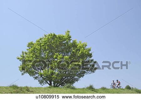 Cyclists on Tamagawa river dyke, Tokyo Prefecture, Honshu, Japan View Large Photo Image Stock Photography - Cyclists on Tamagawa river dyke, Tokyo Prefecture, Honshu, Japan. Fotosearch