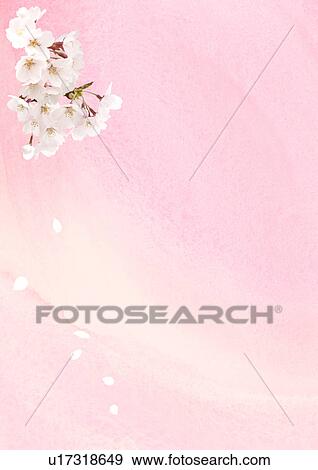 Digital composite of cherry blossoms and illustration View Large Photo Image Stock Photo - Digital composite of cherry blossoms and illustration. Fotosearch