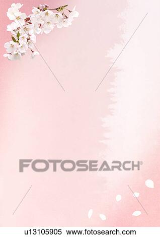Digital composite of cherry blossoms and illustration View Large Photo Image Stock Photography - Digital composite of cherry blossoms and illustration. Fotosearch