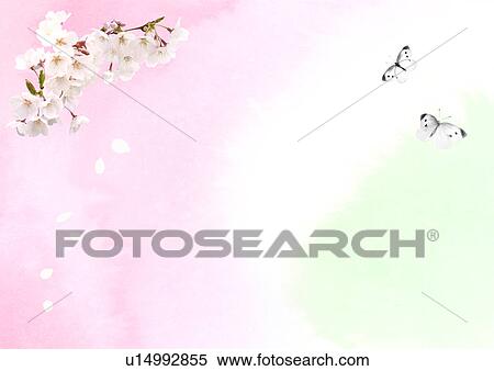 Digital composite of cherry blossoms, butterflies and illustration View Large Photo Image Stock Photography - Digital composite of cherry blossoms, butterflies and illustration. Fotosearch
