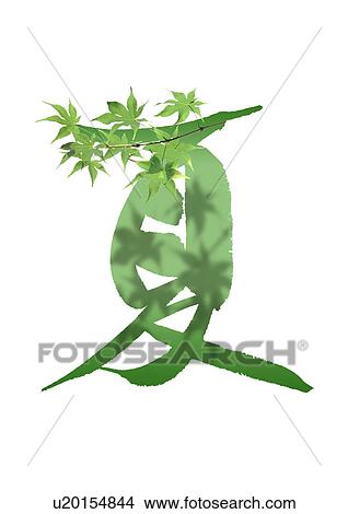 Picture - Digital composite of Japanese Maple and Japanese script Summer. Fotosearch