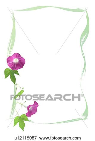 Digital composite of Morning glory and illustration View Large Photo Image Stock Photo - Digital composite of Morning glory and illustration. Fotosearch