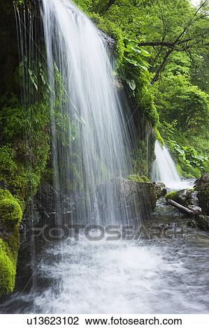 Doryu waterfall, Yamanashi Prefecture, Honshu, Japan View Large Photo Image Stock Image - Doryu waterfall, Yamanashi Prefecture, Honshu, Japan. Fotosearch