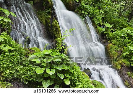 Doryu waterfall, Yamanashi Prefecture, Honshu, Japan View Large Photo Image Stock Photograph - Doryu waterfall, Yamanashi Prefecture, Honshu, Japan. Fotosearch