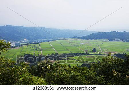 Stock Photography - Echigo plain, Niigata Prefecture, Honshu, Japan. Fotosearch