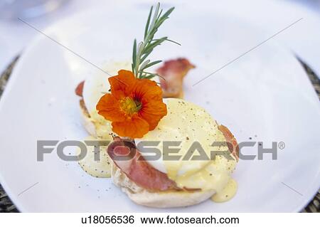 Eggs Benedict View Large Photo Image Stock Photograph - Eggs Benedict. Fotosearch