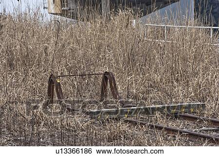 End of Railway Track View Large Photo Image Stock Photograph - End of Railway Track. Fotosearch