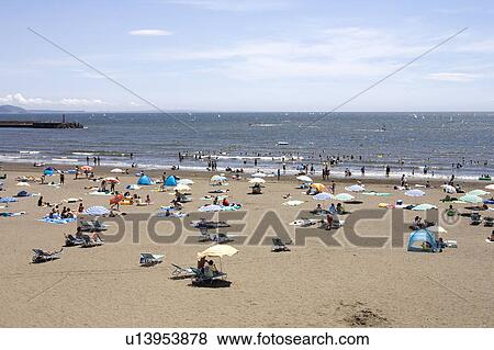 Enoshima beach, Kanagawa Prefecture, Honshu, Japan View Large Photo Image Stock Photo - Enoshima beach, Kanagawa Prefecture, Honshu, Japan. Fotosearch