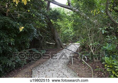 Entrance to Sefa Utaki, Okinawa Prefecture, Japan View Large Photo Image Stock Photography - Entrance to Sefa Utaki, Okinawa Prefecture, Japan. Fotosearch