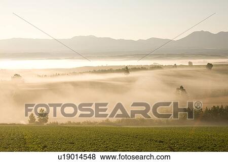 Stock Photo - Farm at dawn, Hokkaido Prefecture, Japan. Fotosearch