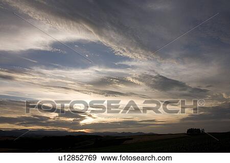 Farm land and tree in a row at dusk, Hokkaido Prefecture, Japan View Large Photo Image Stock Photo - Farm land and tree in a row at dusk, Hokkaido Prefecture, Japan. Fotosearch
