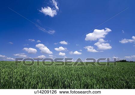 Farm land, Hokkaido Prefecture, Japan View Large Photo Image Stock Photograph - Farm land, Hokkaido Prefecture, Japan. Fotosearch