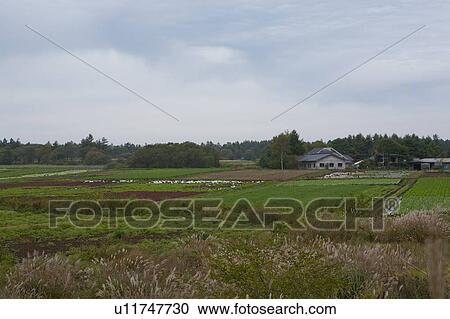 Farmhouse Surrounded by Fields View Large Photo Image Stock Image - Farmhouse Surrounded by Fields. Fotosearch