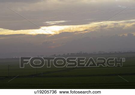 Stock Photograph - Field in the evening, Oshu city, Iwate prefecture, Japan. Fotosearch