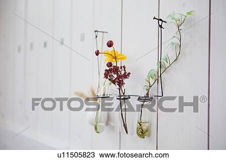 Flower Vases Hanging on Wall View Large Photo Image Stock Image - Flower Vases Hanging on Wall. Fotosearch