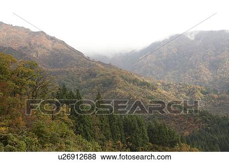 Stock Photo - Foggy Mount Hakkaisan in Autumn. Fotosearch