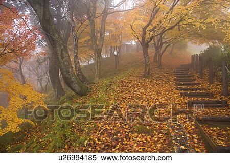 Stock Photography - Footpath in mountain in autumn, Fukui Prefecture, Honshu, Japan. Fotosearch