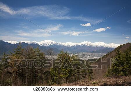 Stock Photography - Forest and Snowcapped Mountains in the Background. Fotosearch