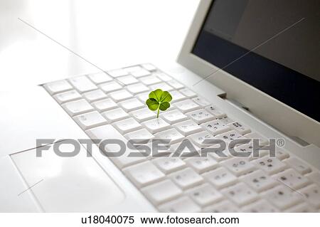 Stock Photography - Four leaf clover and laptop. Fotosearch
