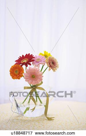 Stock Photo - Gerbera Daisies in a vase. Fotosearch