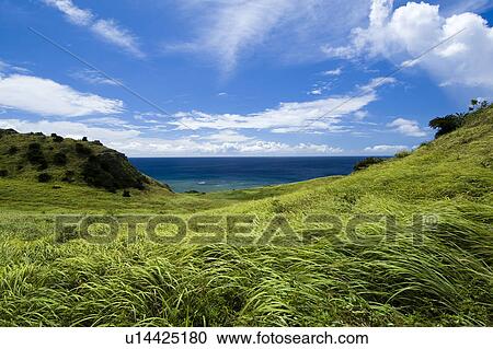 Stock Image - Grass field and sea, Okinawa Prefecture, Japan. Fotosearch