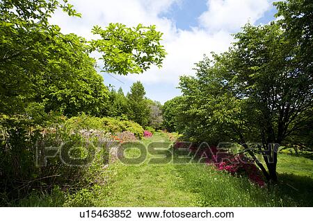 Stock Image - Green Field. Fotosearch