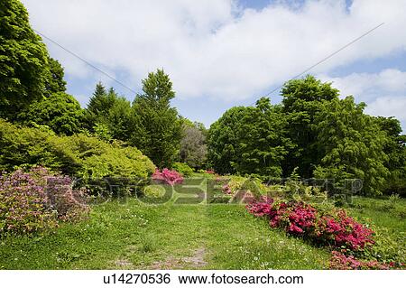 Stock Photograph - Green Field. Fotosearch
