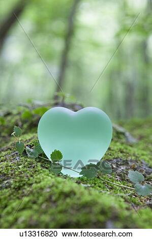 Green Love Heart on Moss View Large Photo Image Stock Image - Green Love Heart on Moss. Fotosearch