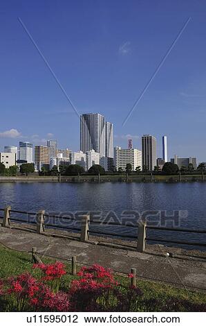 Hamarikyu Gardens and skyline, Minato Ward, Tokyo Prefecture, Honshu, Japan View Large Photo Image Stock Image - Hamarikyu Gardens and skyline, Minato Ward, Tokyo Prefecture, Honshu, Japan. Fotosearch