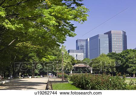 Picture - Hibiya park and skyline of Marunouchi, Chiyoda Ward, Tokyo Prefecture, Honshu, Japan. Fotosearch
