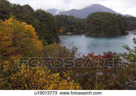 Stock Image - High Angle View of Goshiki Swamp in Autumn. Fotosearch