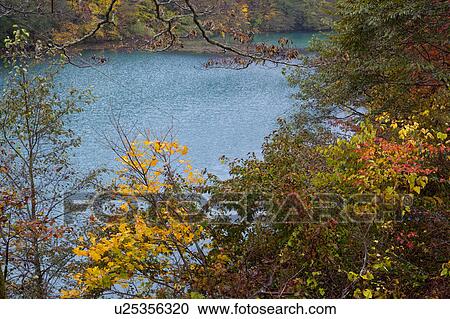 High Angle View of Goshiki Swamp in Autumn View Large Photo Image Stock Image - High Angle View of Goshiki Swamp in Autumn. Fotosearch