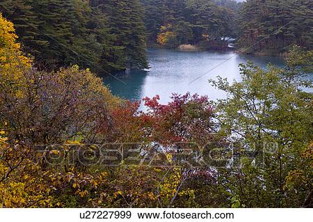 Stock Photo - High Angle View of Goshiki Swamp in Autumn. Fotosearch